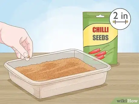 Image titled Grow a Chilli Plant from a Seed Step 4