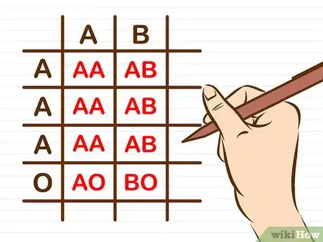 Image titled Determine Your Baby's Blood Type Using a Punnett Square Step 8