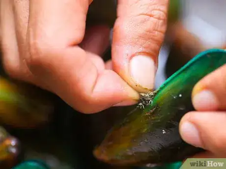 Image titled Cook Mussels Step 3