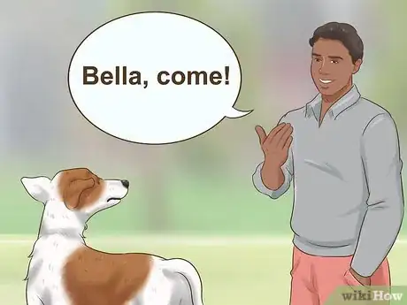 Image titled Train Your New Dog to Respond to a New Name Step 3