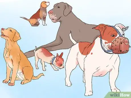 Image titled Muzzle Train a Dog Step 18