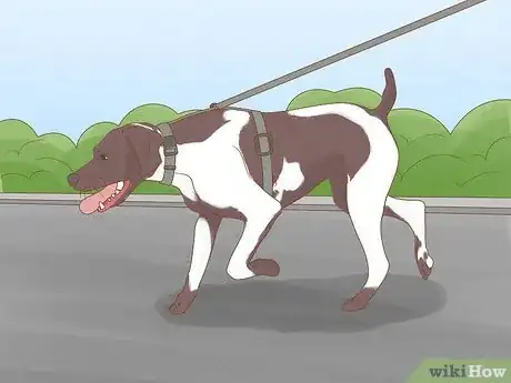 Image titled Socialize an Aggressive Dog Step 6