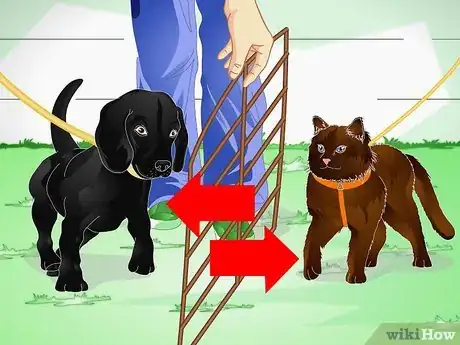 Image titled Raise a Dog Step 12