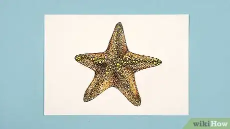 Image titled Draw a Starfish Step 6