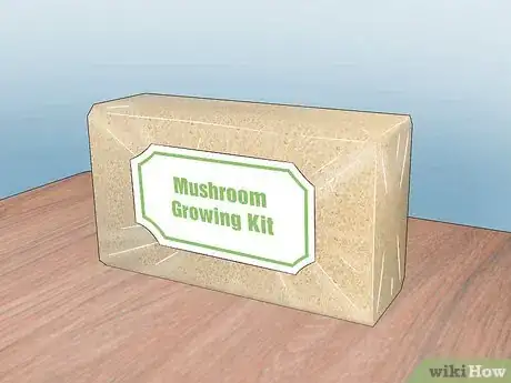 Image titled Grow Hydroponic Mushrooms Step 1