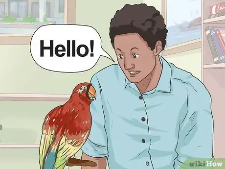 Image titled Teach Your Bird to Talk Step 4