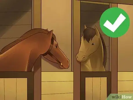 Image titled Socialize a Single Horse Step 10