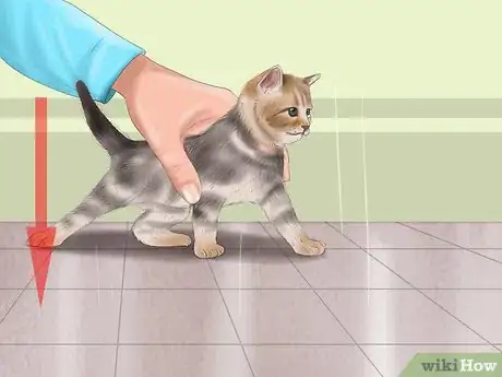 Image titled Hold a Cat Step 9