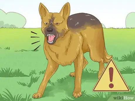 Image titled Handle an Attack Dog Step 4