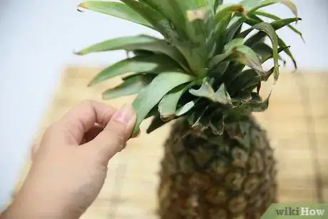 Image titled Tell if a Pineapple Is Ripe Step 10