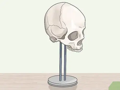 Image titled Make a Skull Step 2