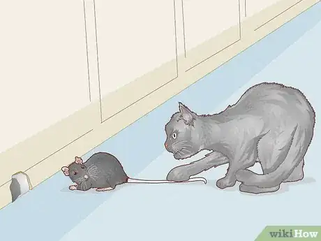 Image titled Get Rid of Mice and Rats Step 7