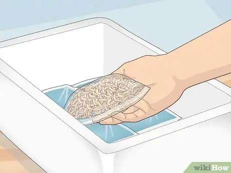 Image titled Keep Maggots Alive for Fishing Step 5