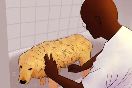 Image titled Man Washes Golden Retriever.png