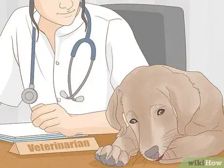 Image titled Solve Your Dog's Skin and Scratching Problems Step 8