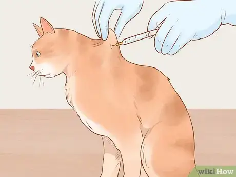 Image titled Administer Insulin to a Cat Step 14