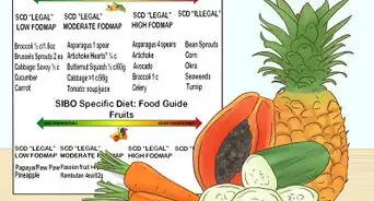 Test Your Gut Bacteria