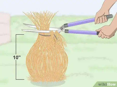 Image titled Prune Ornamental Grasses Step 3