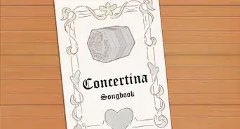 Play the Concertina