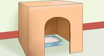 Create a Room for Your Cat