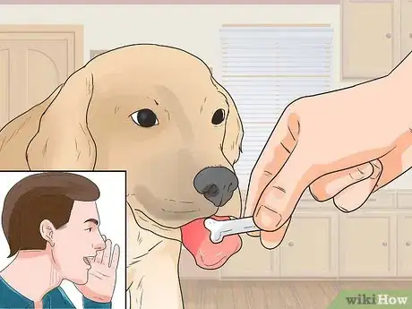 Image titled Teach a Puppy Its Name Step 8