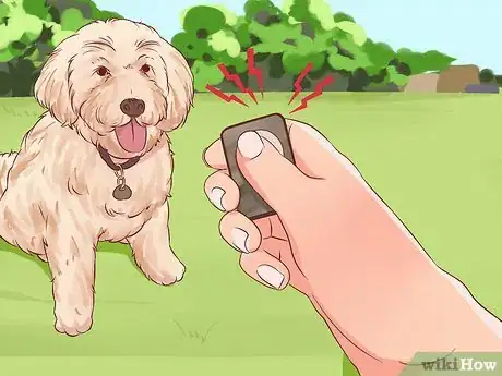 Image titled Stop a Dog from Pulling on Its Leash Step 6