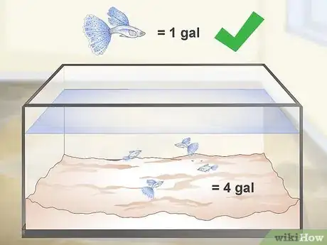 Image titled Keep Guppies Healthy Step 1