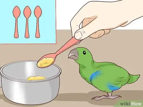 Image titled Care for an Eclectus Parrot Step 13