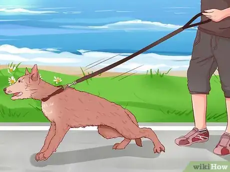 Image titled Stop a Dog from Pulling on Its Leash Step 3