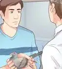 Hold a Pigeon