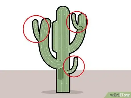 Image titled Prune Cactus Step 9