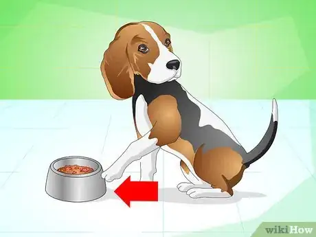 Image titled Get Your Dog to Eat the Dog Food It Does Not Like Step 10