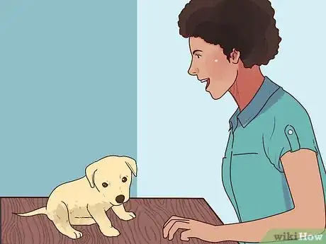 Image titled Buy a Puppy Step 18