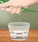 Collect Water From Plants