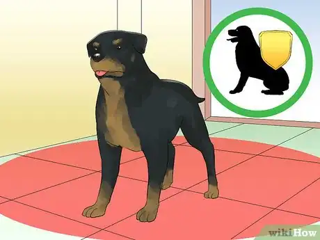 Image titled Train a Rottweiler to Be a Guard Dog Step 9