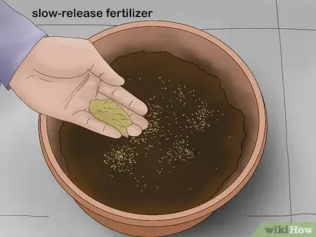 Image titled Grow Lemon Balm Step 5