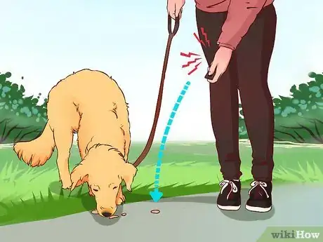 Image titled Stop a Dog from Pulling on Its Leash Step 8