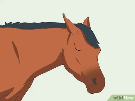 Image titled How Do Horses Sleep Step 1