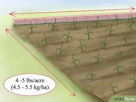 Image titled Grow Millet Step 15