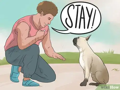 Image titled Train Your Dog to Not Run Away Step 10