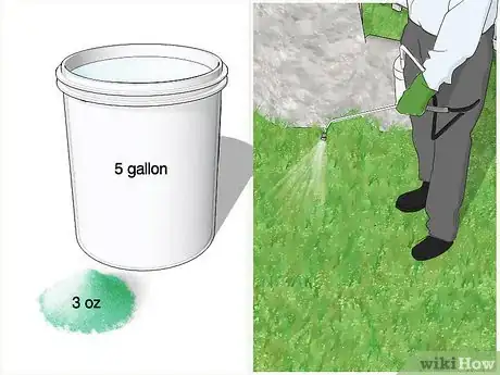 Image titled Get Rid of Moss in Your Lawn Step 3