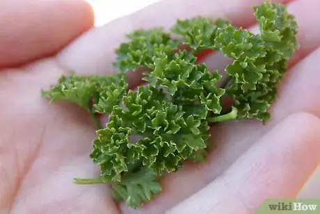 Image titled Air dry parsley Step 3