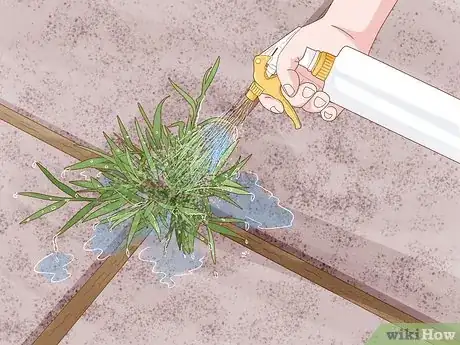 Image titled Kill Weeds With Vinegar Step 3