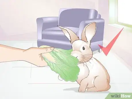 Image titled Teach a Rabbit Not to Chew Furniture Step 3