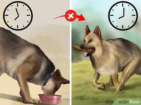 Image titled Take Care of a German Shepherd Step 13