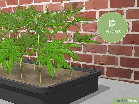 Image titled Plant Clones Step 1