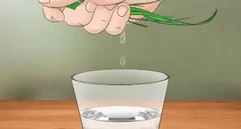 Collect Water From Plants