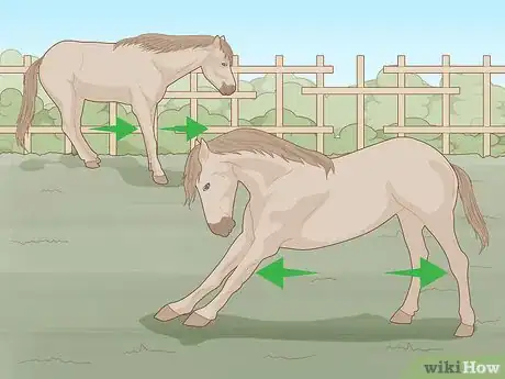 Image titled Know if Your Horse Is Sick Step 8