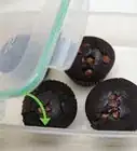 Make Chocolate Muffins