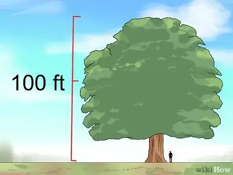 Image titled Identify Oak Trees Step 12